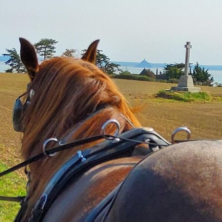 Chez Jollyjune, A Moins D'Une Heure Du Mont Saint Michel Champeaux Eksteriør billede