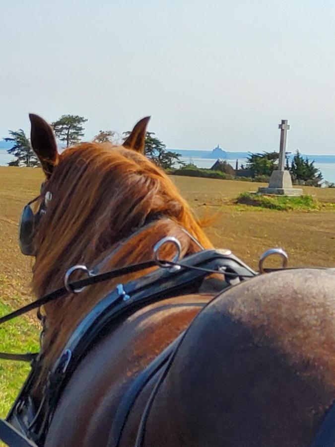 Chez Jollyjune, A Moins D'Une Heure Du Mont Saint Michel Champeaux Eksteriør billede
