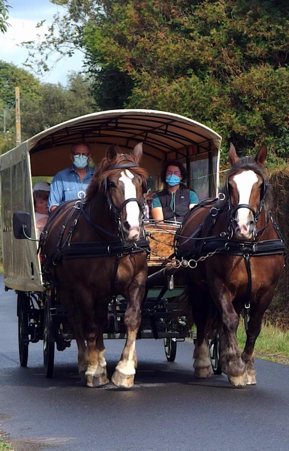 Chez Jollyjune, A Moins D'Une Heure Du Mont Saint Michel Champeaux Eksteriør billede